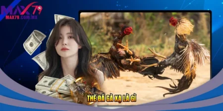 Thế đá gà xạ