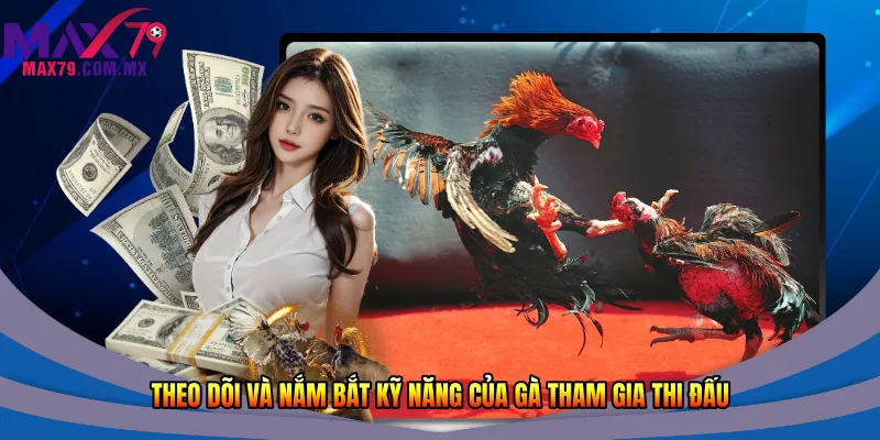 Theo dõi và nắm bắt kỹ năng của gà tham gia thi đấu